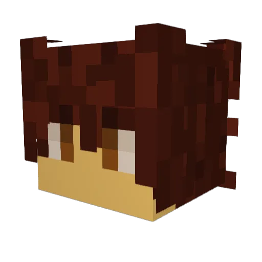 ChrisApplewood Minecraft avatar head, 3D render