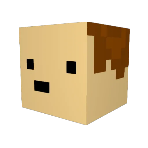 ChrisBloper Minecraft avatar head, 3D render