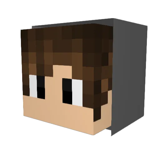 ChrisChoi323 Minecraft avatar head, 3D render