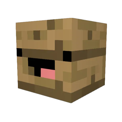 ChrisF011 Minecraft avatar head, 3D render