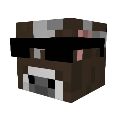 ChrisFa1 Minecraft avatar head, 3D render