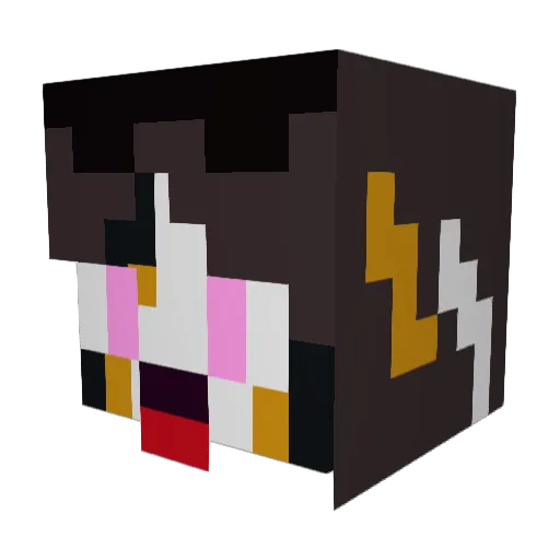 ChrisFish776 Minecraft avatar head, 3D render