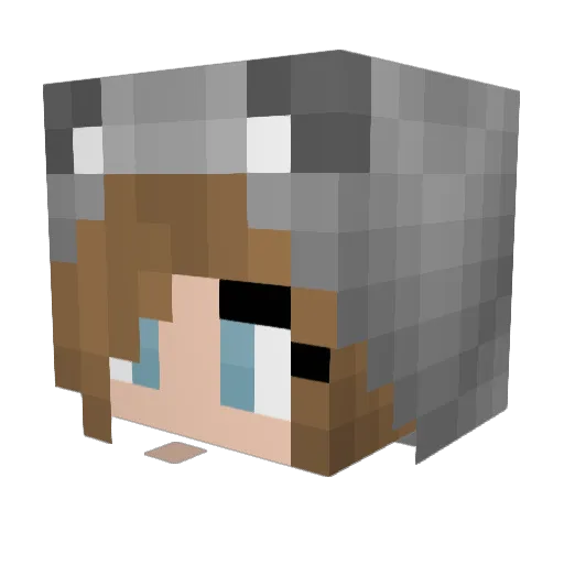 ChrisGreg5 Minecraft avatar head, 3D render