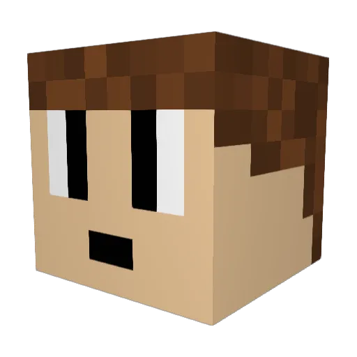 ChrisJr_1102 Minecraft avatar head, 3D render