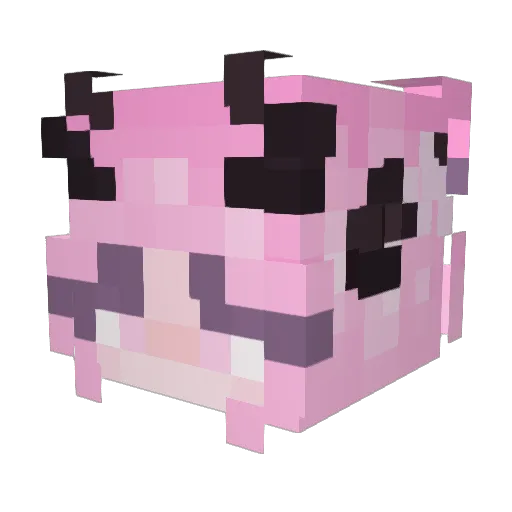 ChrisMCC_ Minecraft avatar head, 3D render