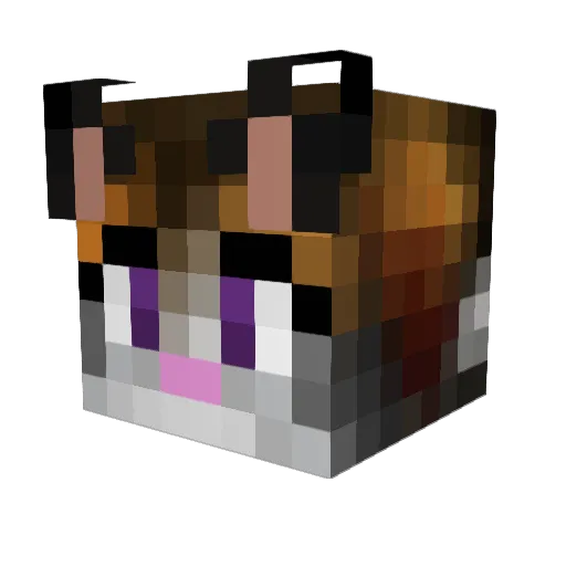 ChrisMusix Minecraft avatar head, 3D render
