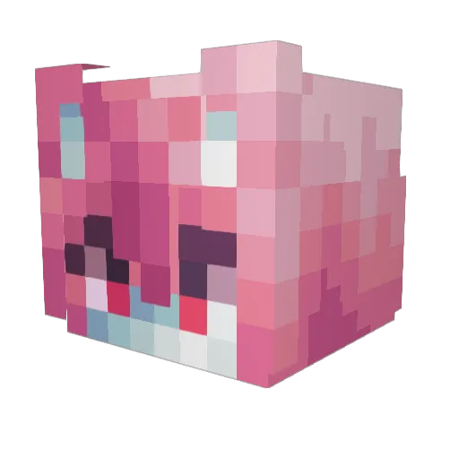 ChrisNathan431 Minecraft avatar head, 3D render
