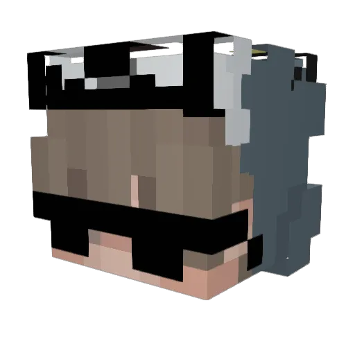 ChrisTroy8 Minecraft avatar head, 3D render