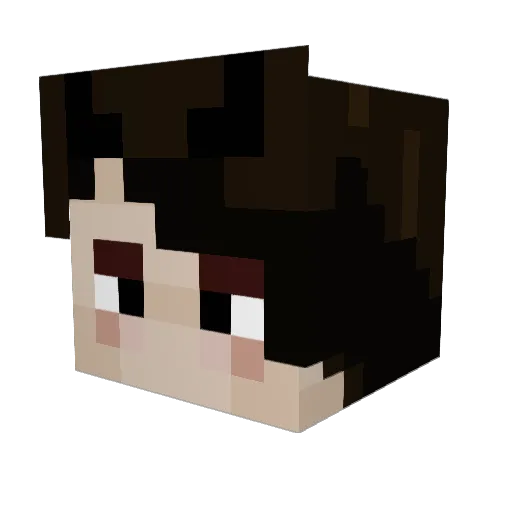 ChrisWatch3s Minecraft avatar head, 3D render
