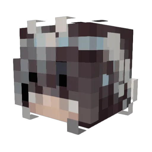 Chris_R0blox Minecraft avatar head, 3D render