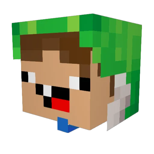 Chrisan26 Minecraft avatar head, 3D render