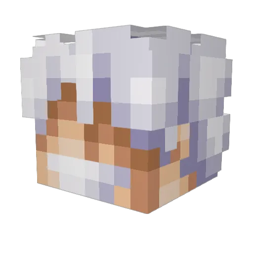 ChrisandMattD Minecraft avatar head, 3D render
