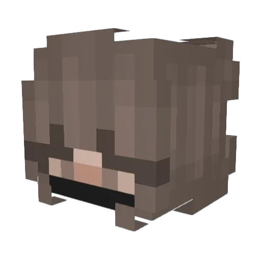Chrisi4422 Minecraft avatar head, 3D render