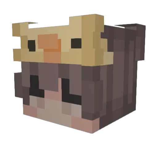 Chrisjul13 Minecraft avatar head, 3D render