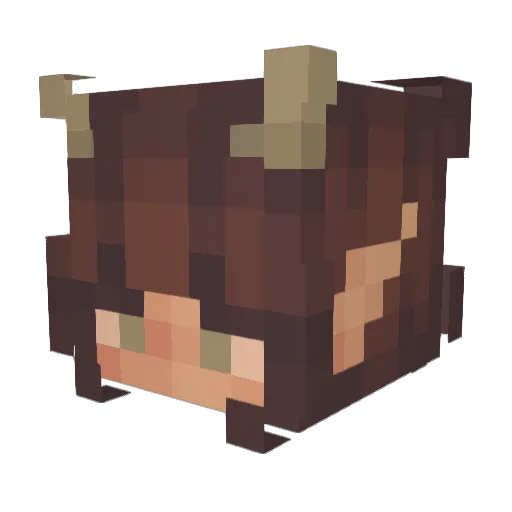 Chrispro_23 Minecraft avatar head, 3D render