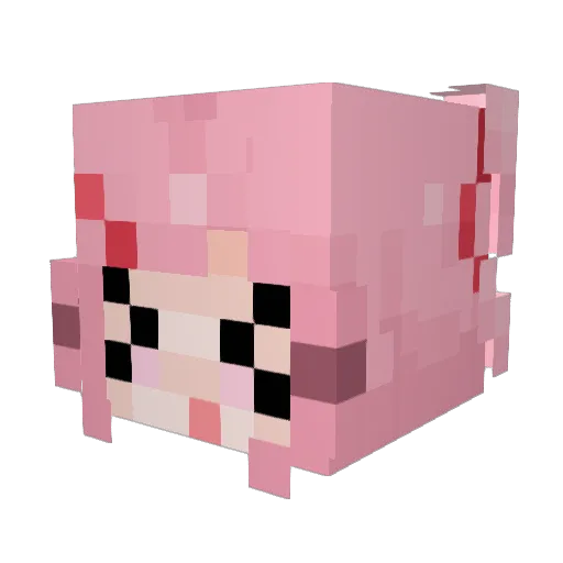 Chrispytimes Minecraft avatar head, 3D render