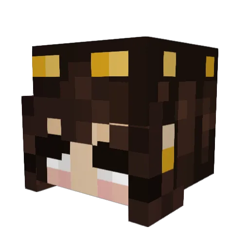 Chrisseys Minecraft avatar head, 3D render