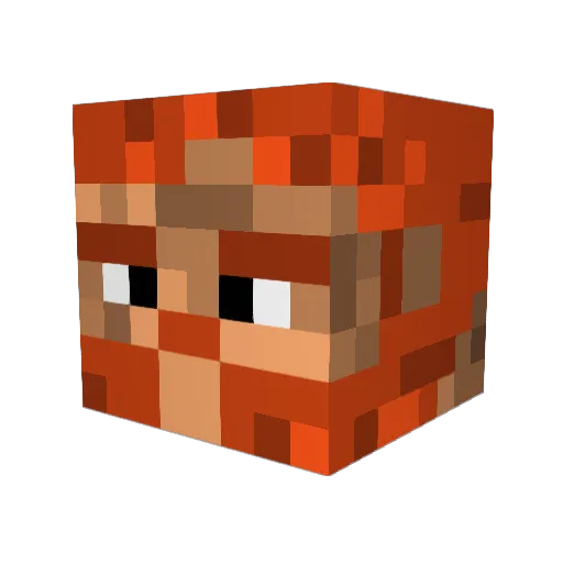Chrissi567 Minecraft avatar head, 3D render