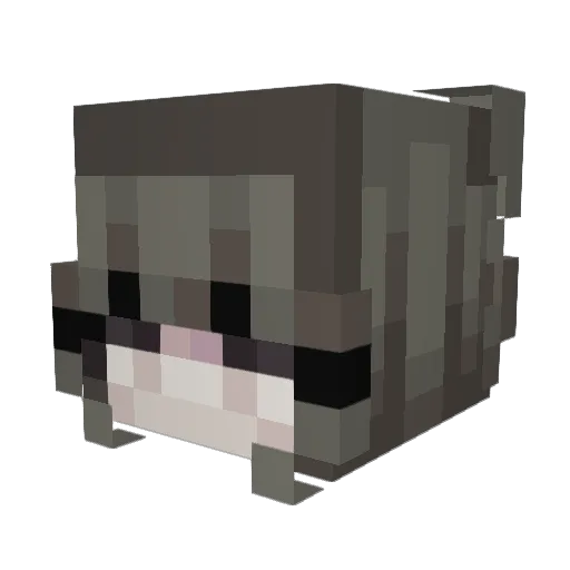 Chrissy3105 Minecraft avatar head, 3D render