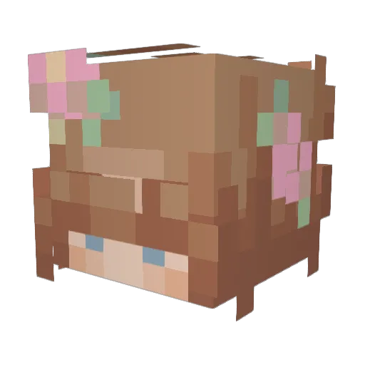 Chrissy_xoxo Minecraft avatar head, 3D render
