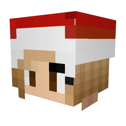 ChrissytheTiger Minecraft avatar head, 3D render