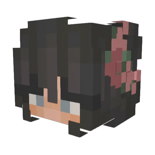 Christaaaybro Minecraft avatar head, 3D render