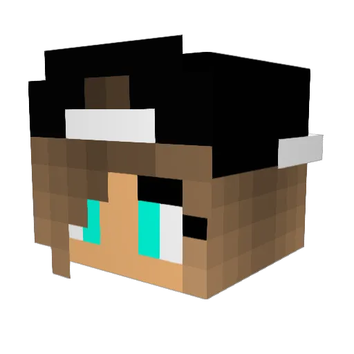 Christapoppy Minecraft avatar head, 3D render