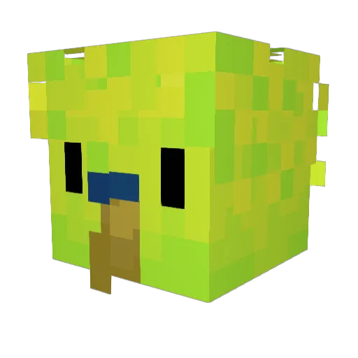 Christastic04 Minecraft avatar head, 3D render