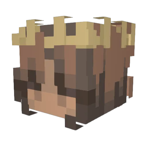 Christbaum2011 Minecraft avatar head, 3D render
