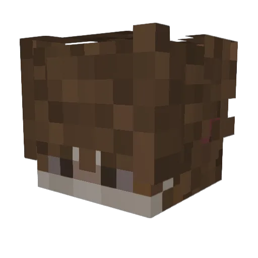Christianoooo Minecraft avatar head, 3D render