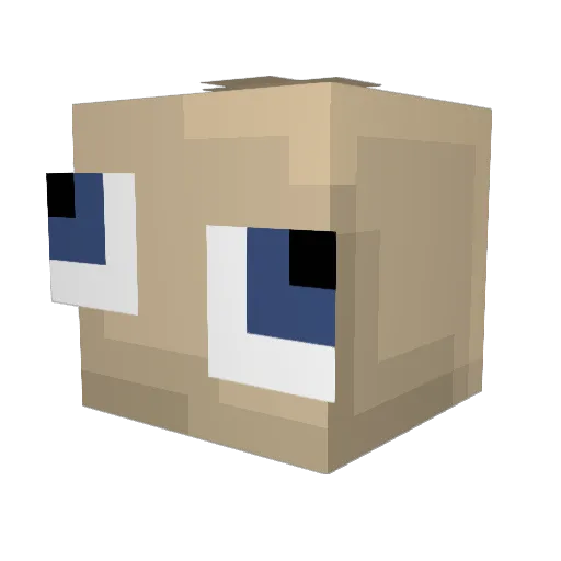 Christiantgbmj Minecraft avatar head, 3D render