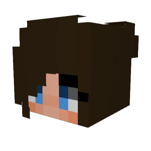 Christin_108 Minecraft avatar head, 3D render