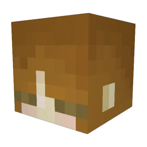 ChristinaAwA Minecraft avatar head, 3D render
