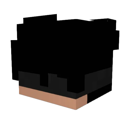 ChristiqnD1or Minecraft avatar head, 3D render
