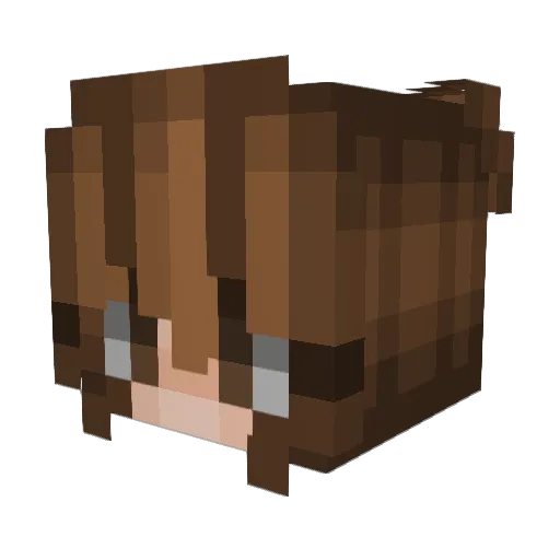 ChristmasDuck11 Minecraft avatar head, 3D render