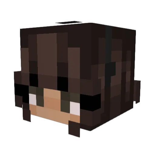 ChristmasPumpkin Minecraft avatar head, 3D render