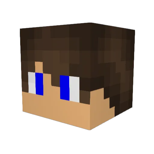 Christmas_Boy Minecraft avatar head, 3D render