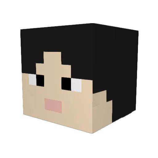 Christmase1225 Minecraft avatar head, 3D render