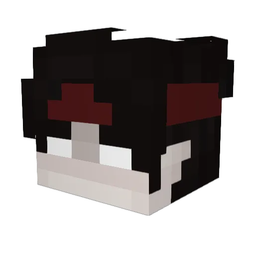 Christo0206 Minecraft avatar head, 3D render
