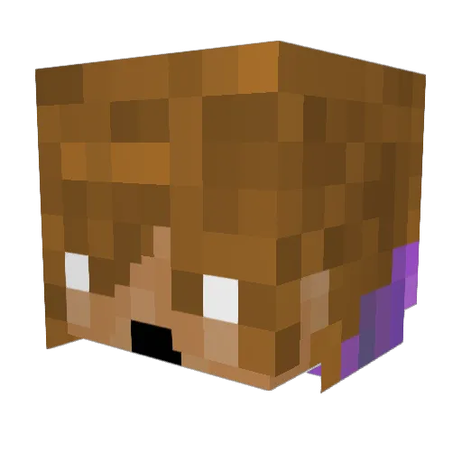 Christopher2628 Minecraft avatar head, 3D render