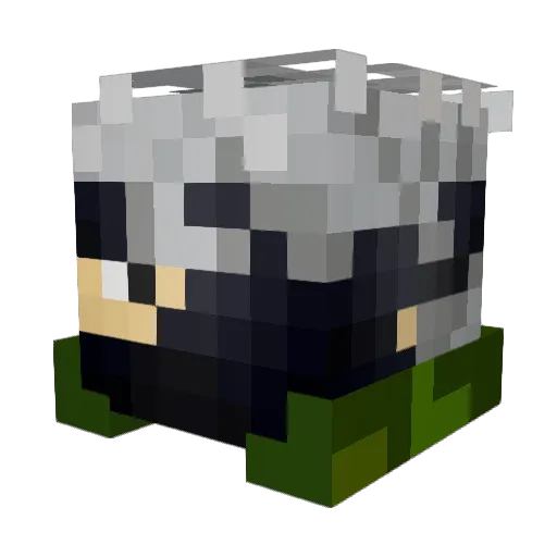 Christopher490 Minecraft avatar head, 3D render