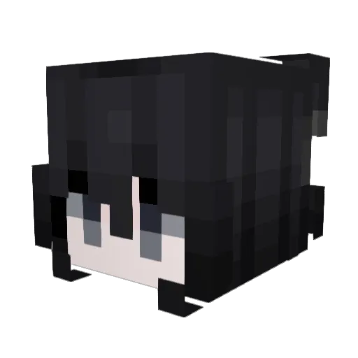ChristopherBragg Minecraft avatar head, 3D render