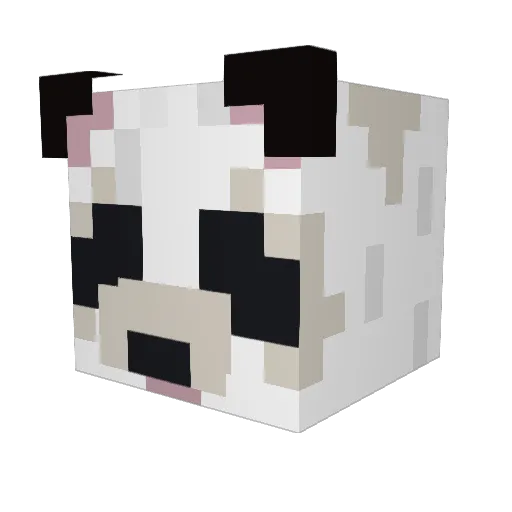 ChristopherPanda Minecraft avatar head, 3D render