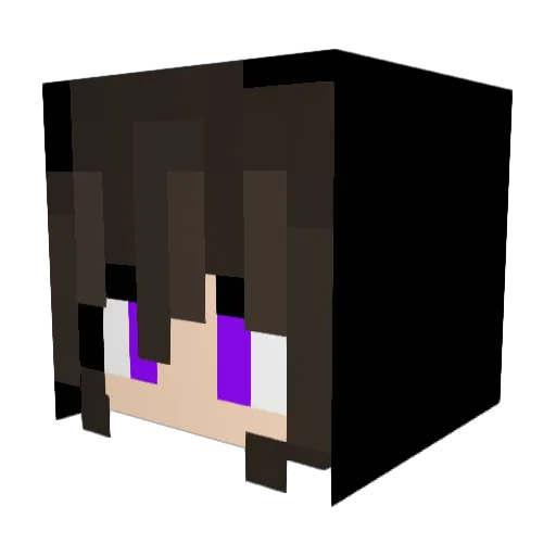 Chrisxdxs Minecraft avatar head, 3D render