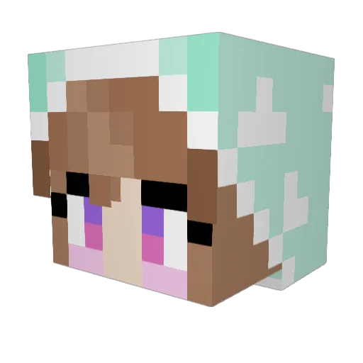 Chrixxi Minecraft avatar head, 3D render