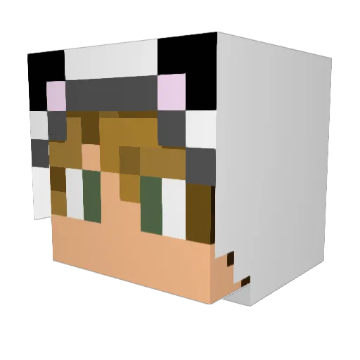 ChrizAwkward Minecraft avatar head, 3D render
