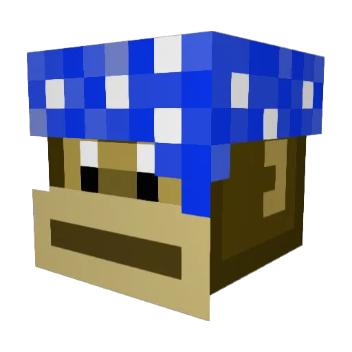 Chrizzle27 Minecraft avatar head, 3D render
