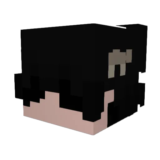 Chrlstopheer Minecraft avatar head, 3D render