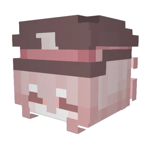 ChromonBoido Minecraft avatar head, 3D render