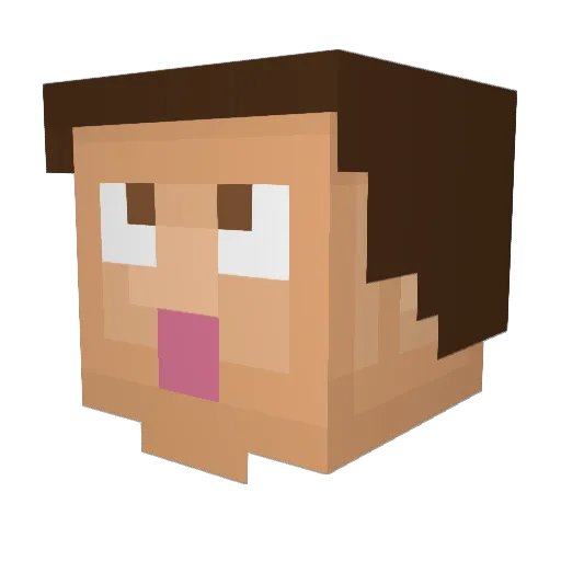 ChromosomeBandit Minecraft avatar head, 3D render